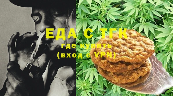 спиды Горняк