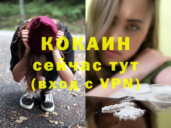 твердый Гусев