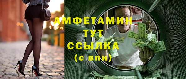 твердый Гусев