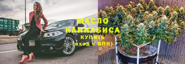 твердый Гусев