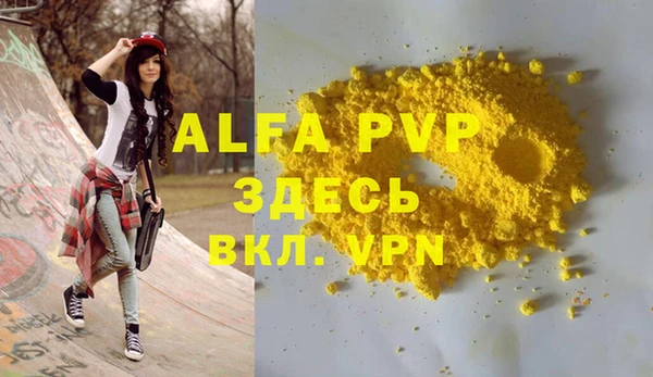 твердый Гусев