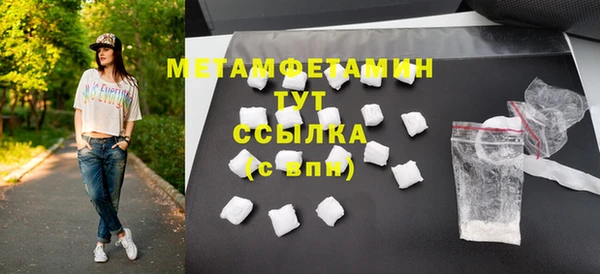 твердый Гусев