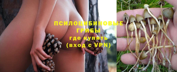 твердый Гусев
