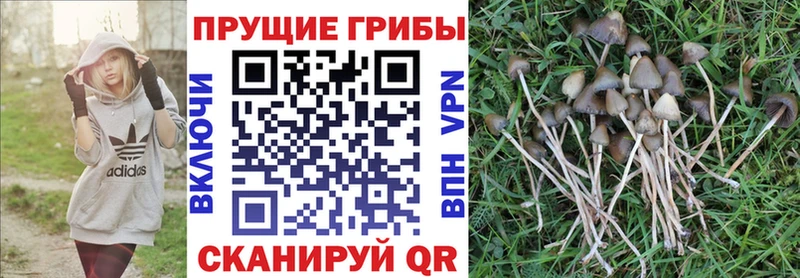 цены наркотик  Невьянск  Галлюциногенные грибы ЛСД 
